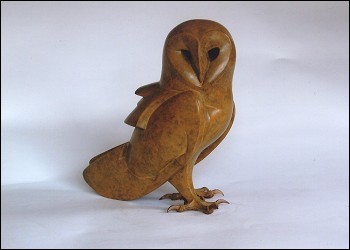 Barn Owl