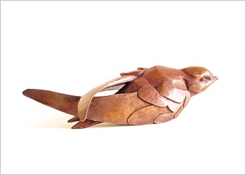 Swift Nesting